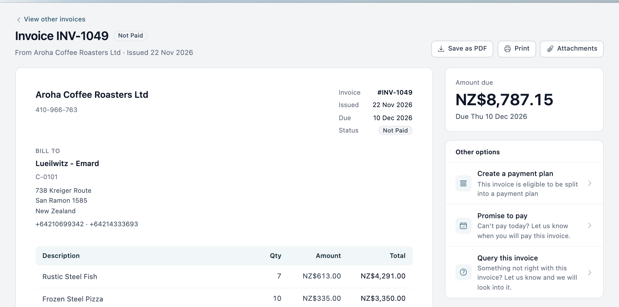 The invoice page in the customer portal, with the amount due and the Other options panel on the right