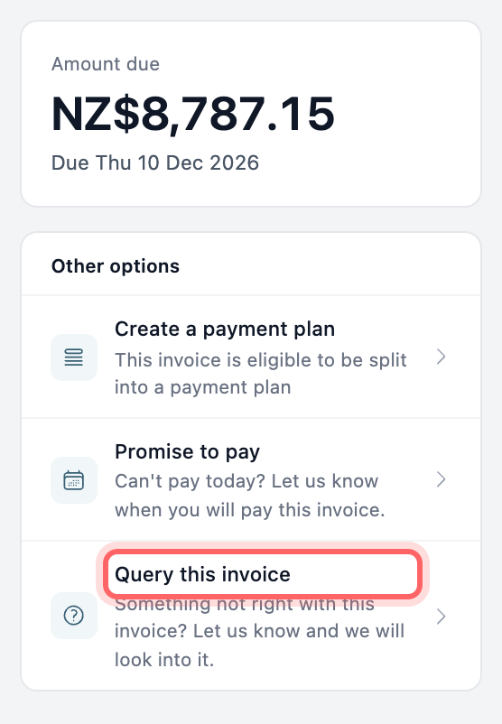 The Other options panel on a portal invoice page, with Query this invoice highlighted